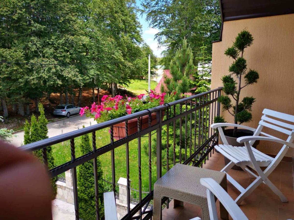 זבליאק Gorska Vila Apartments מראה חיצוני תמונה