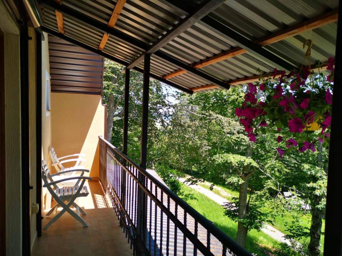 זבליאק Gorska Vila Apartments מראה חיצוני תמונה