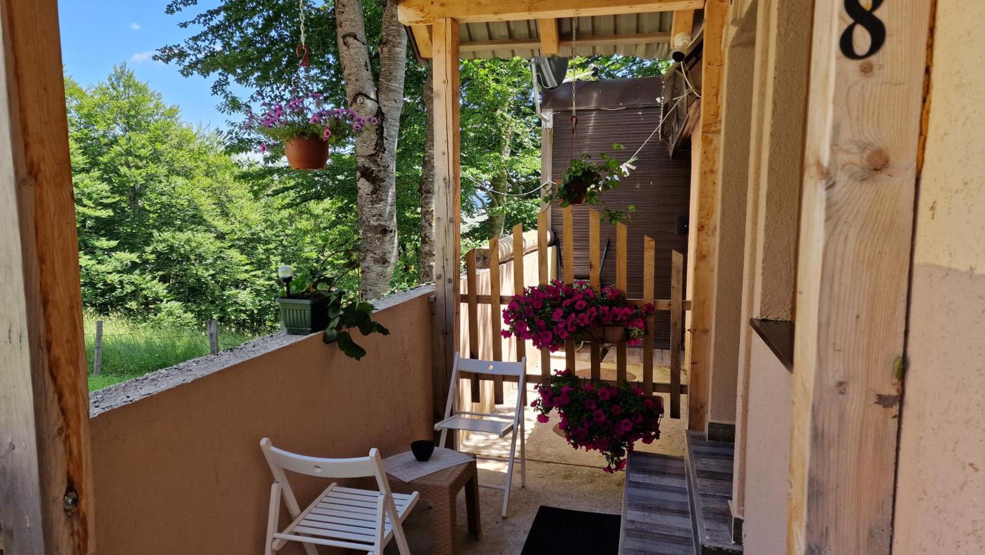 זבליאק Gorska Vila Apartments מראה חיצוני תמונה