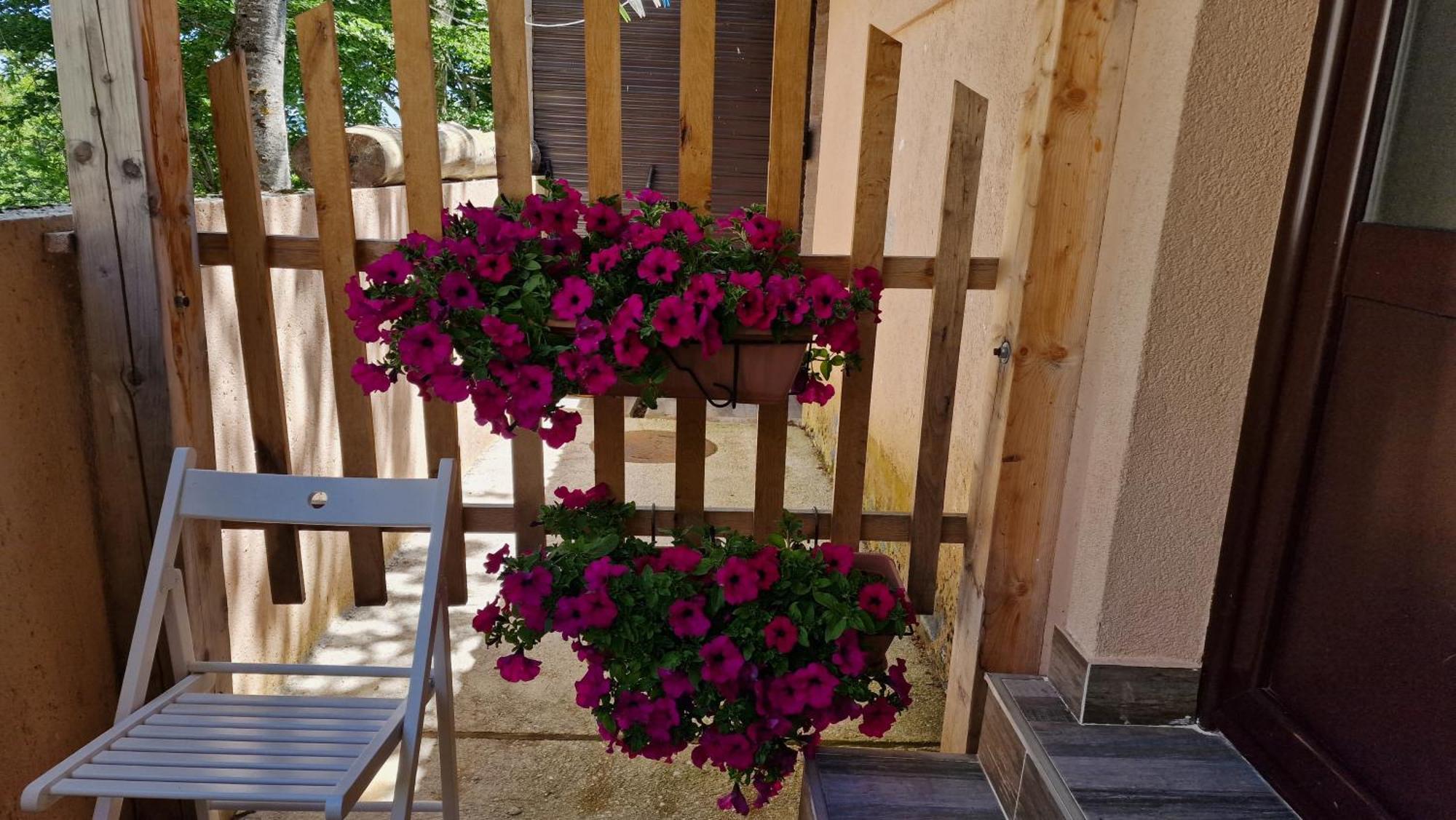 זבליאק Gorska Vila Apartments חדר תמונה