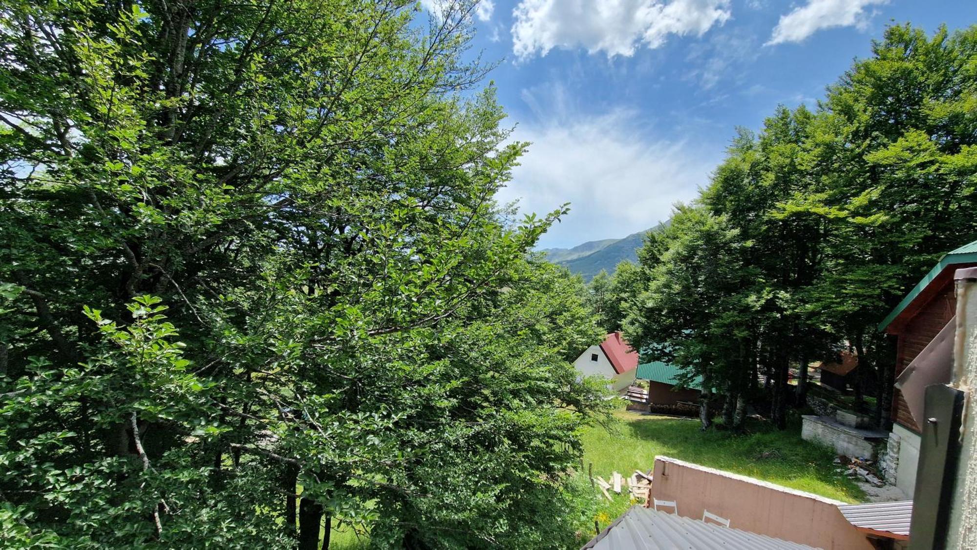 זבליאק Gorska Vila Apartments חדר תמונה